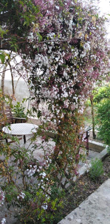 Apartment Emma Mali Losinj Luaran gambar